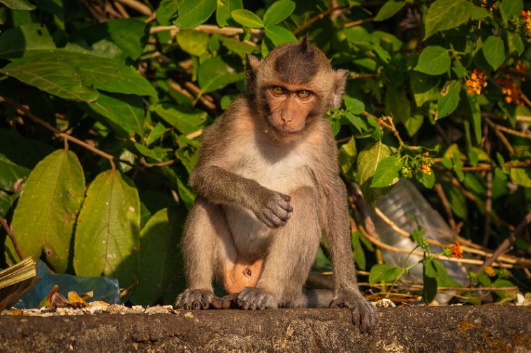 120 Cambodja, Kep.jpg